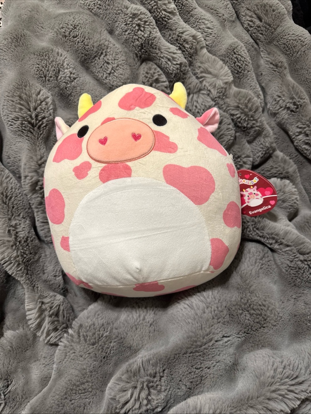 Rare Evangelica Squishmallow 12 Inch Valentine's Day Plush - Limited Edition New
